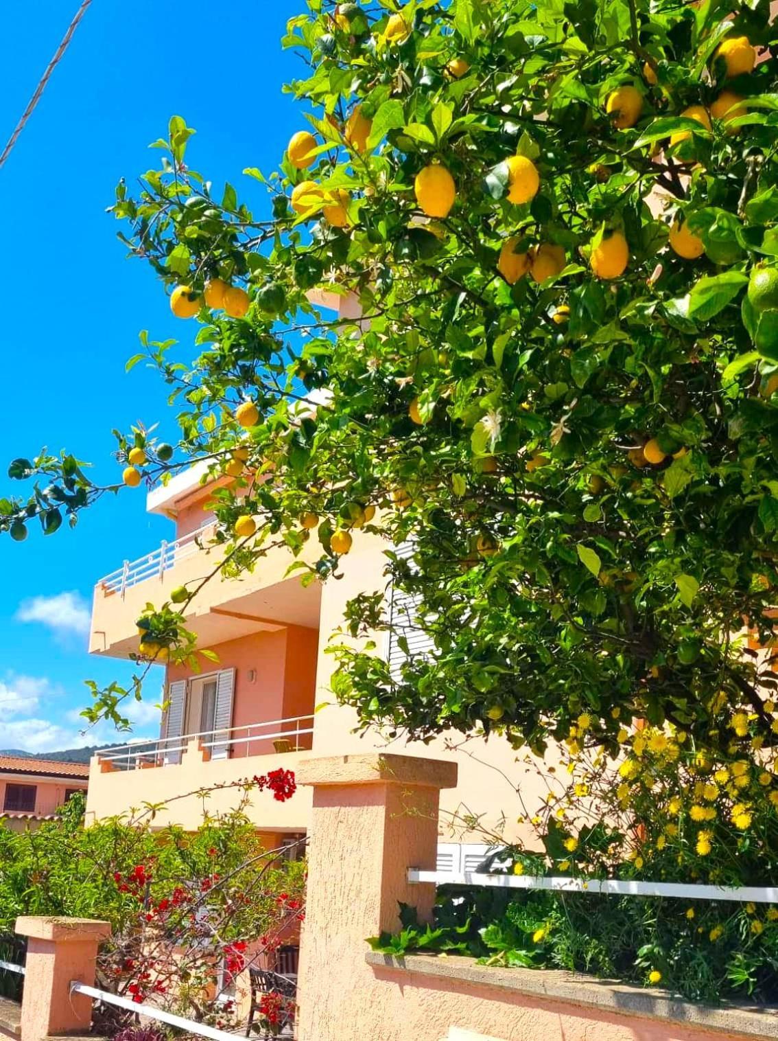 Casa Vacanze Mura Кала Гононе Екстериор снимка